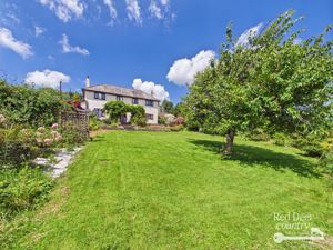 Garden- click for photo gallery